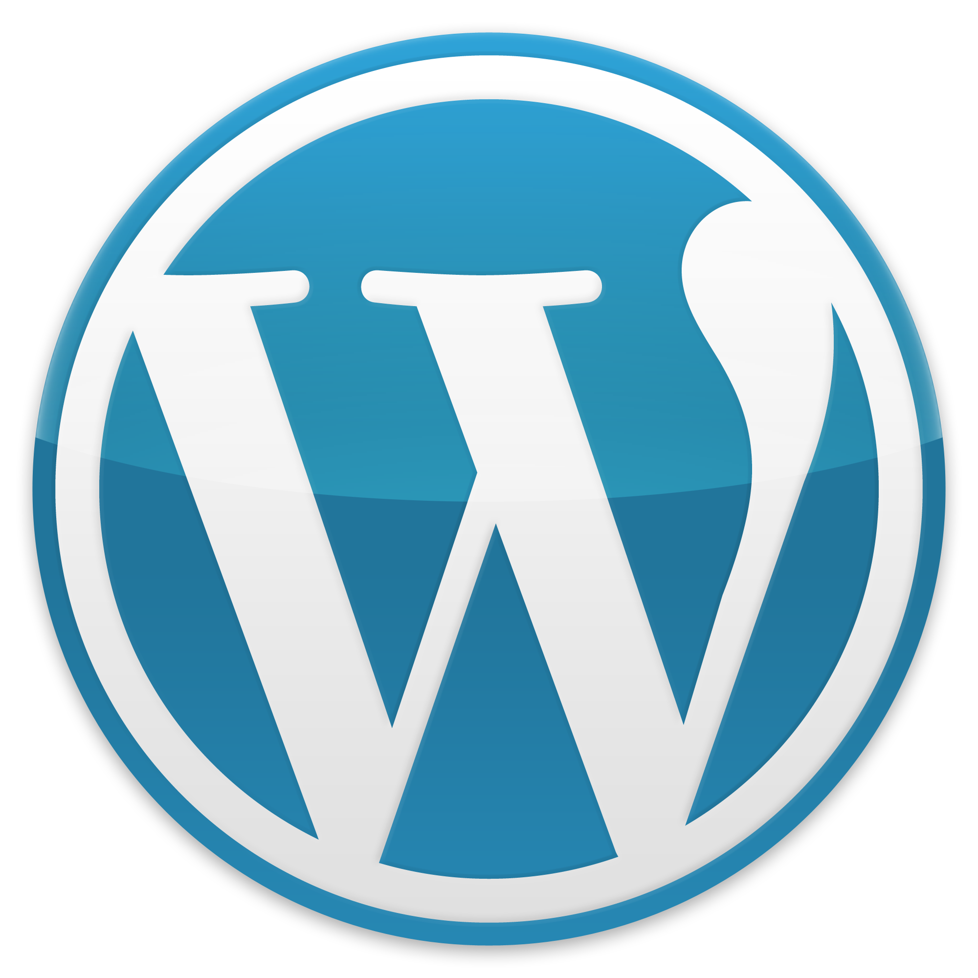 WordPress die ersten Schritte